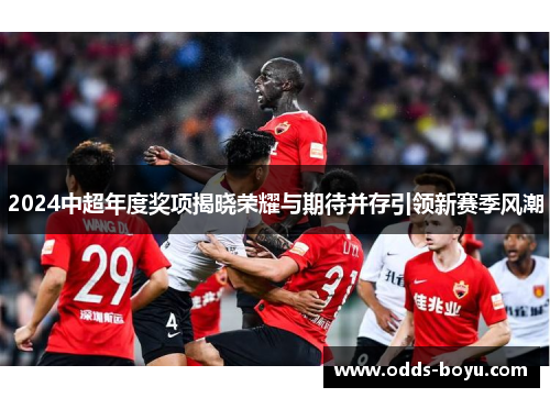 2024中超年度奖项揭晓荣耀与期待并存引领新赛季风潮
