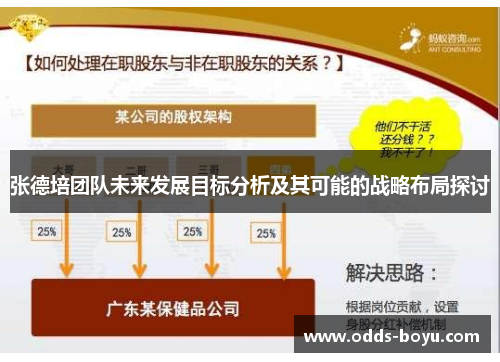张德培团队未来发展目标分析及其可能的战略布局探讨